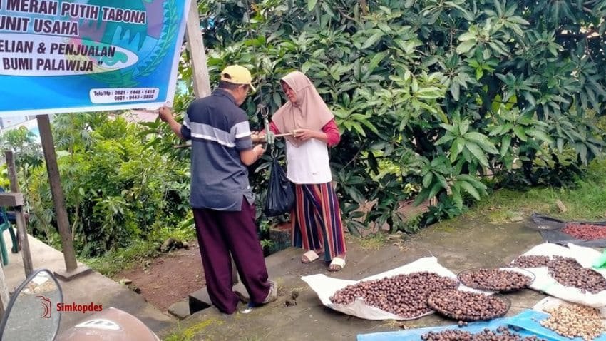 Punya 55 Potensi, KKMP Tabona (baru) Daftarkan 24 Jenis Usaha 1 Aktivitas perdagangan hasil bumi KKMP.