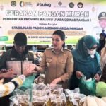 gubernur sherly pasar murah